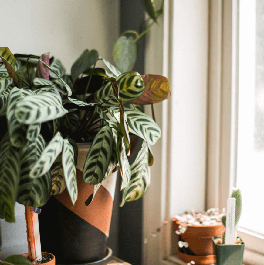mom and daughter dancing in the kitchen